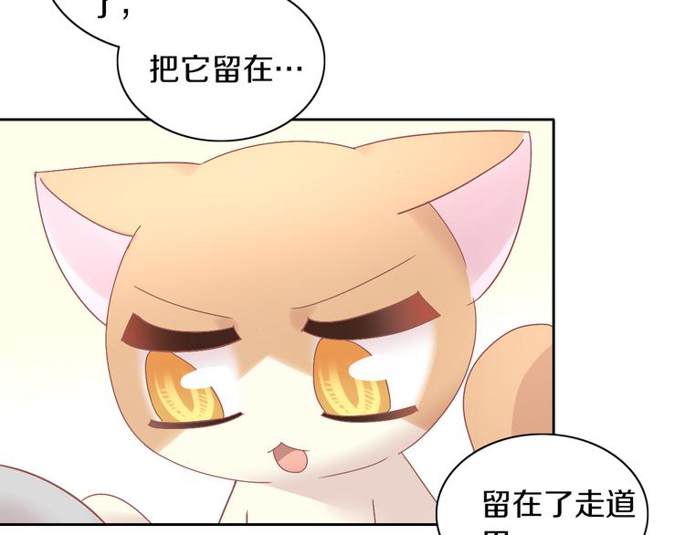 《猫爪之下》漫画最新章节第191话  日天的嫉妒免费下拉式在线观看章节第【40】张图片