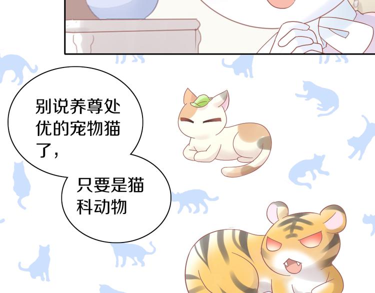 《猫爪之下》漫画最新章节第192话  牛免费下拉式在线观看章节第【68】张图片