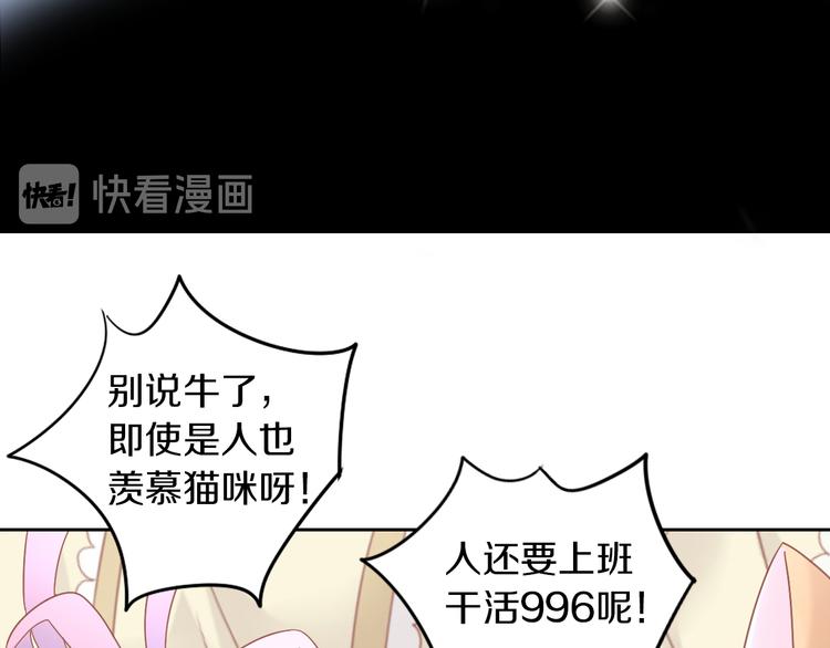 《猫爪之下》漫画最新章节第192话  牛免费下拉式在线观看章节第【72】张图片