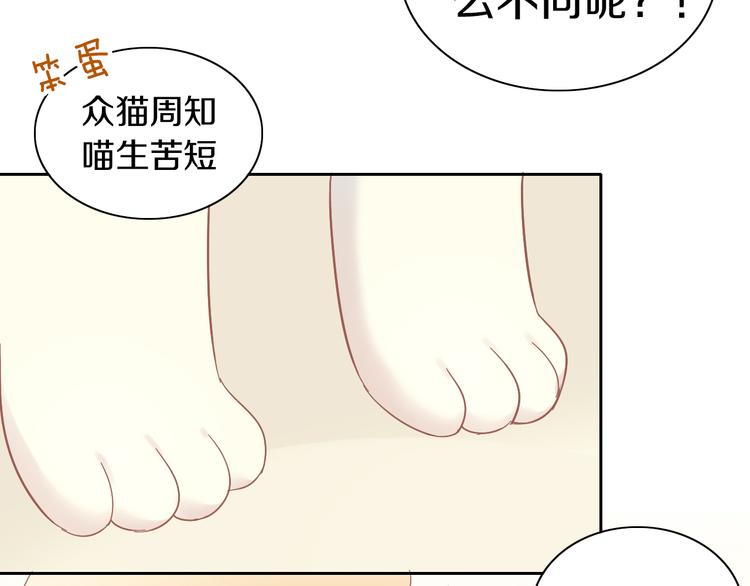 《猫爪之下》漫画最新章节第192话  牛免费下拉式在线观看章节第【75】张图片