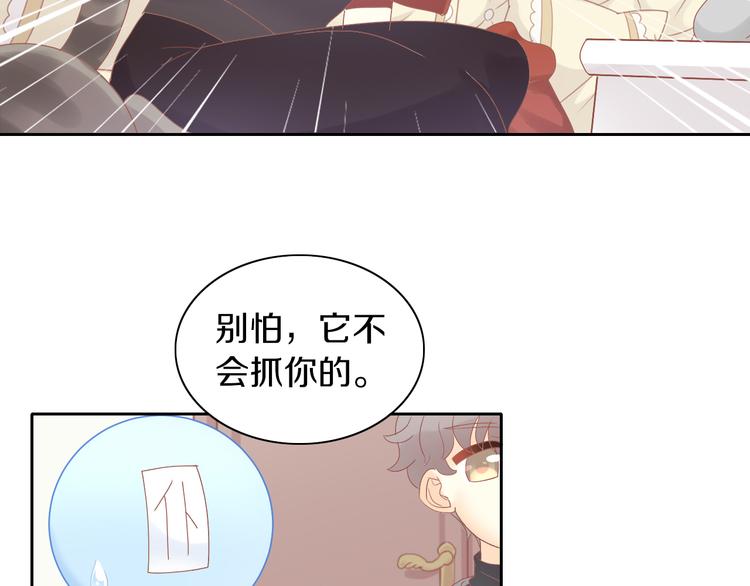 《猫爪之下》漫画最新章节第193话 被抛弃的它免费下拉式在线观看章节第【28】张图片