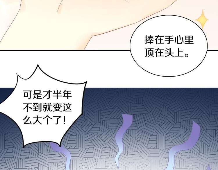 《猫爪之下》漫画最新章节第193话 被抛弃的它免费下拉式在线观看章节第【41】张图片