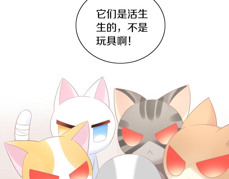 《猫爪之下》漫画最新章节第193话 被抛弃的它免费下拉式在线观看章节第【46】张图片