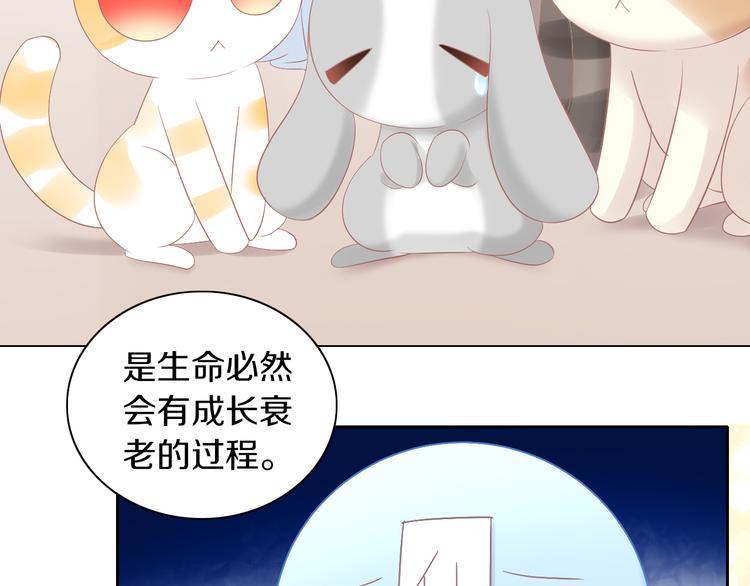 《猫爪之下》漫画最新章节第193话 被抛弃的它免费下拉式在线观看章节第【47】张图片