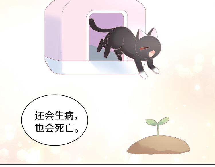 《猫爪之下》漫画最新章节第193话 被抛弃的它免费下拉式在线观看章节第【49】张图片