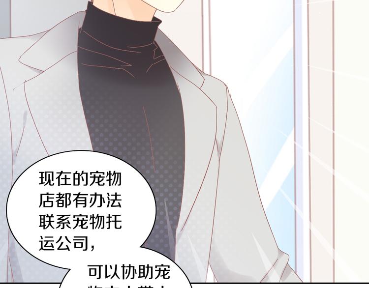 《猫爪之下》漫画最新章节第193话 被抛弃的它免费下拉式在线观看章节第【61】张图片