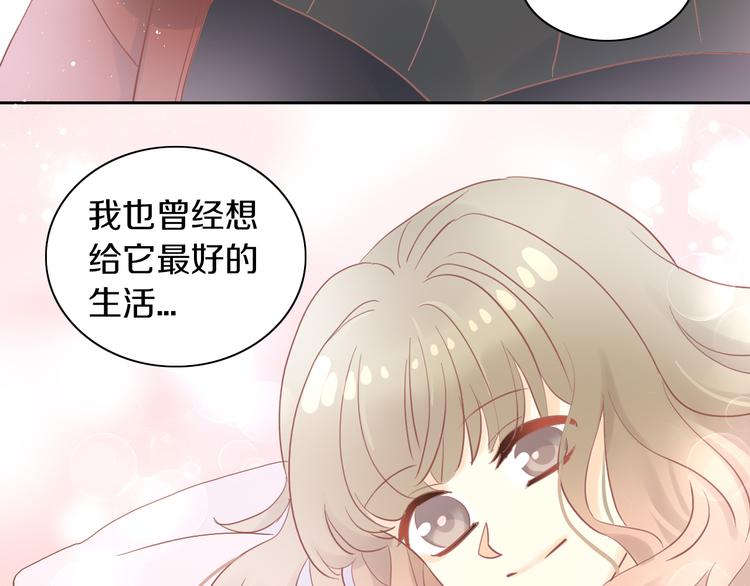 《猫爪之下》漫画最新章节第193话 被抛弃的它免费下拉式在线观看章节第【71】张图片