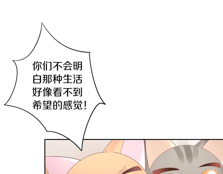 《猫爪之下》漫画最新章节第193话 被抛弃的它免费下拉式在线观看章节第【78】张图片