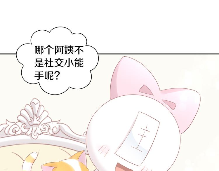 《猫爪之下》漫画最新章节第194话 选主人免费下拉式在线观看章节第【31】张图片