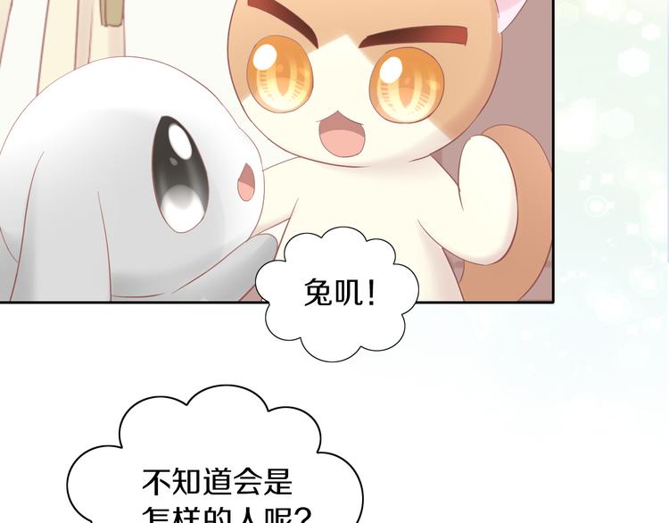 《猫爪之下》漫画最新章节第194话 选主人免费下拉式在线观看章节第【36】张图片