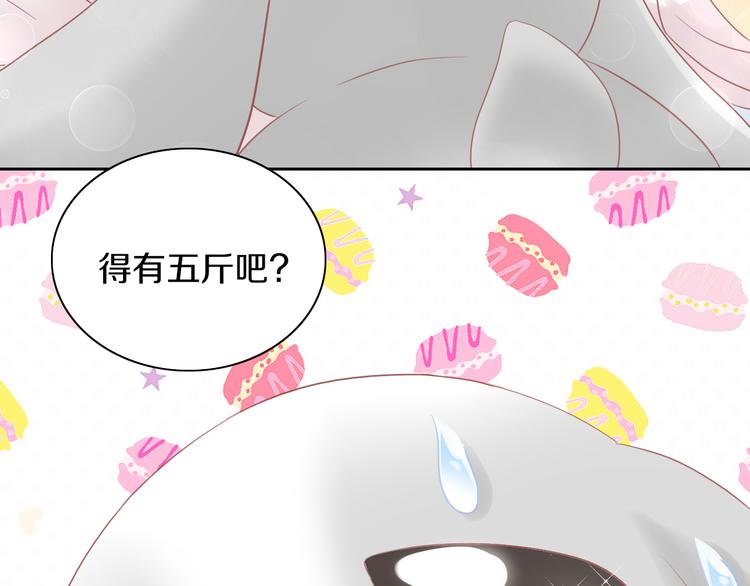 《猫爪之下》漫画最新章节第194话 选主人免费下拉式在线观看章节第【46】张图片