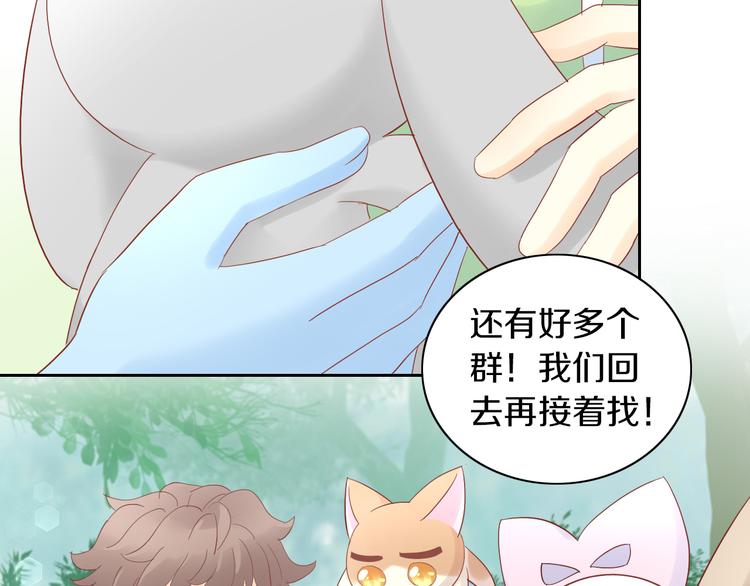 《猫爪之下》漫画最新章节第194话 选主人免费下拉式在线观看章节第【74】张图片