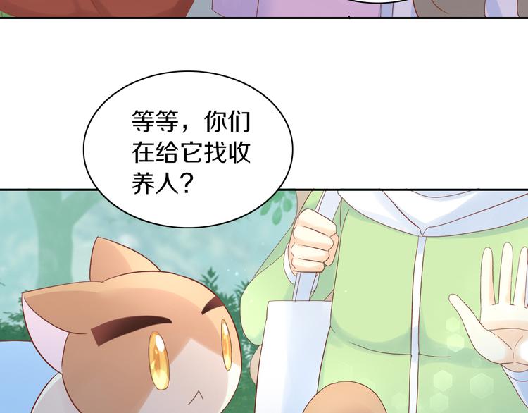 《猫爪之下》漫画最新章节第194话 选主人免费下拉式在线观看章节第【76】张图片