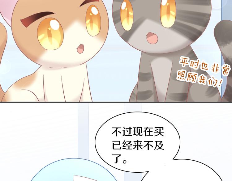 《猫爪之下》漫画最新章节第195话  宠物毛毡免费下拉式在线观看章节第【13】张图片