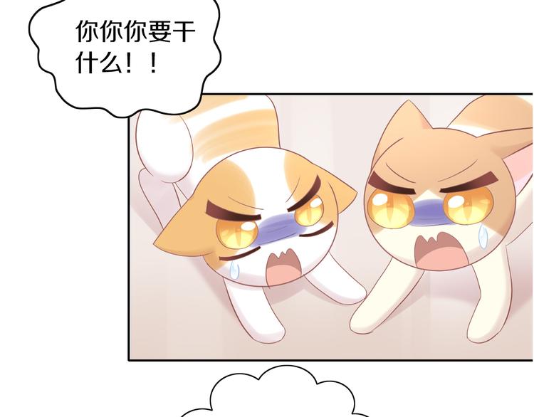 《猫爪之下》漫画最新章节第195话  宠物毛毡免费下拉式在线观看章节第【25】张图片