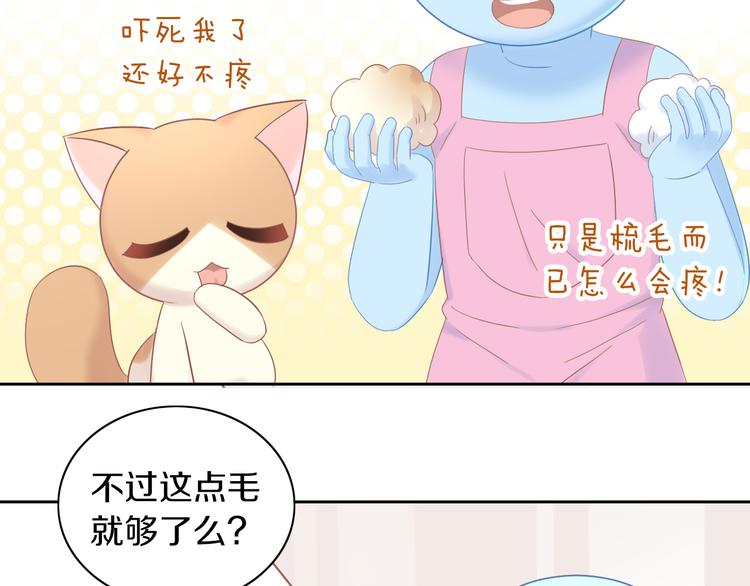 《猫爪之下》漫画最新章节第195话  宠物毛毡免费下拉式在线观看章节第【33】张图片