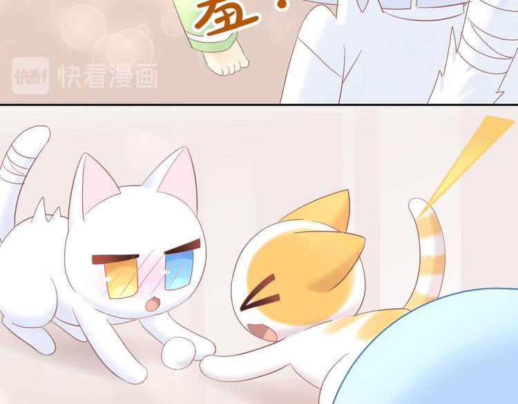 《猫爪之下》漫画最新章节第195话  宠物毛毡免费下拉式在线观看章节第【47】张图片