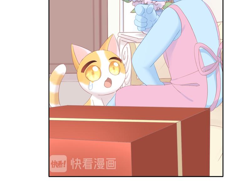 《猫爪之下》漫画最新章节第196话 苹果大改造!免费下拉式在线观看章节第【15】张图片