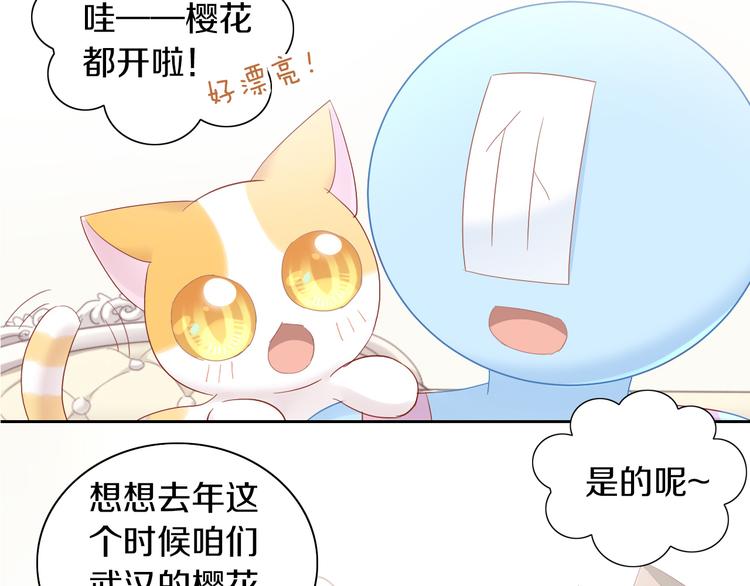 《猫爪之下》漫画最新章节第197话 樱花攻略免费下拉式在线观看章节第【14】张图片