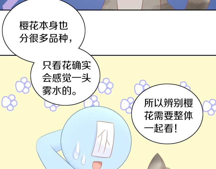 《猫爪之下》漫画最新章节第197话 樱花攻略免费下拉式在线观看章节第【38】张图片