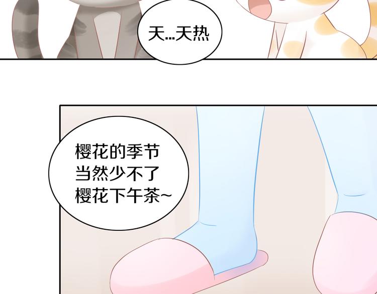 《猫爪之下》漫画最新章节第197话 樱花攻略免费下拉式在线观看章节第【60】张图片