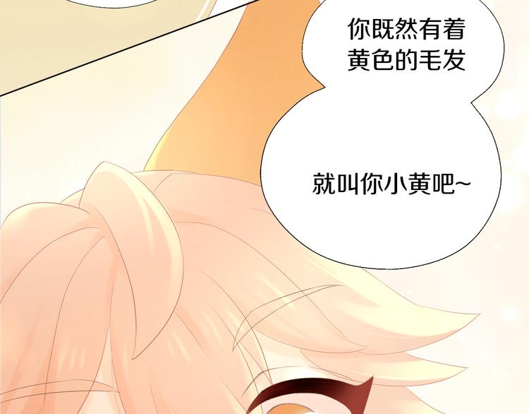 《猫爪之下》漫画最新章节第198话 哥哥！哥哥！免费下拉式在线观看章节第【55】张图片