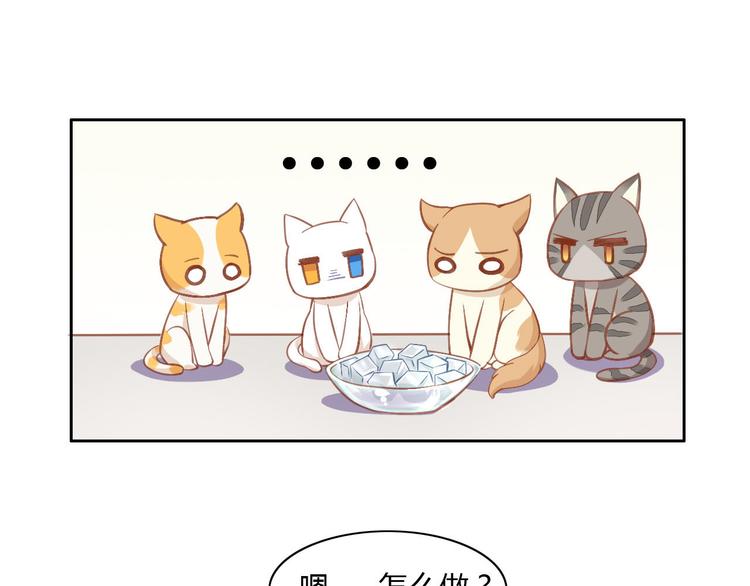 《猫爪之下》漫画最新章节第3话  夏日冰品免费下拉式在线观看章节第【33】张图片