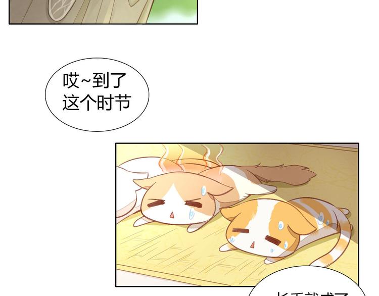 《猫爪之下》漫画最新章节第3话  夏日冰品免费下拉式在线观看章节第【7】张图片