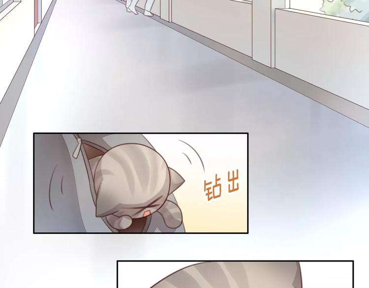 《猫爪之下》漫画最新章节第21话  糟糕！被发现了免费下拉式在线观看章节第【46】张图片