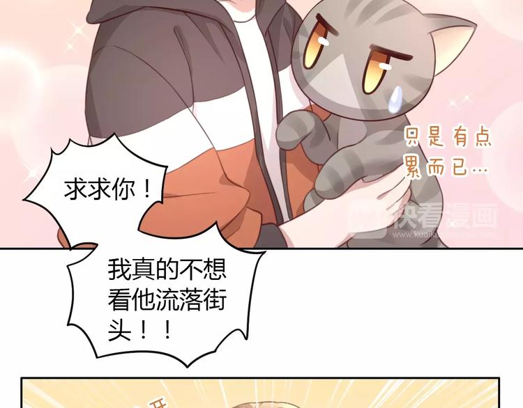 《猫爪之下》漫画最新章节第23话 人生赢家免费下拉式在线观看章节第【51】张图片