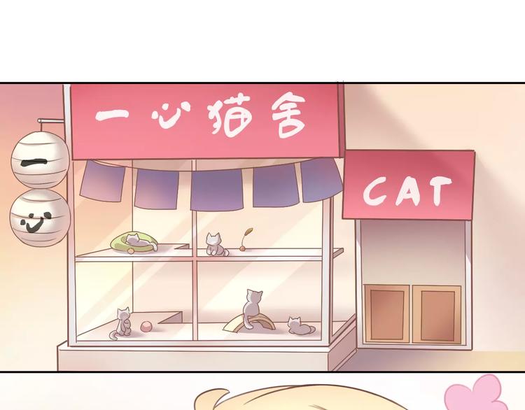 《猫爪之下》漫画最新章节第23话 人生赢家免费下拉式在线观看章节第【65】张图片