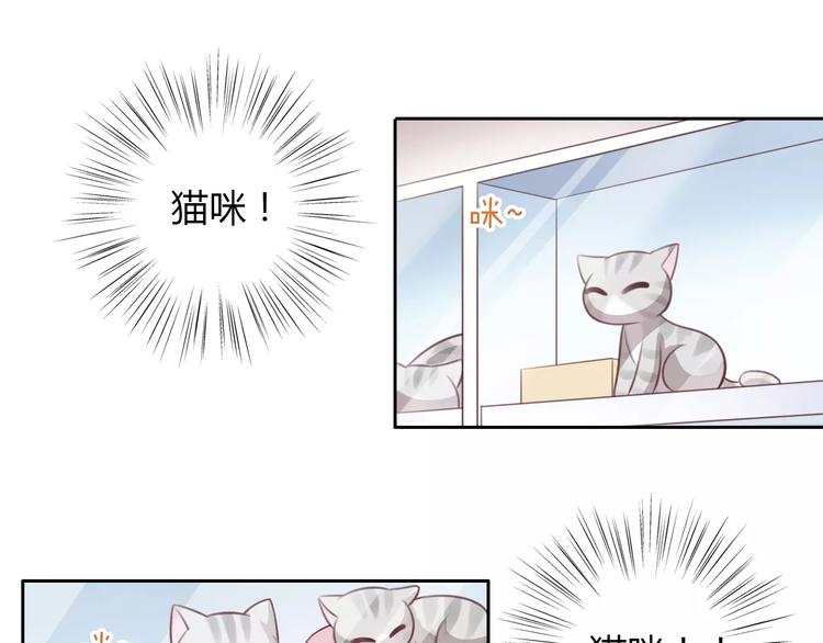 《猫爪之下》漫画最新章节第23话 人生赢家免费下拉式在线观看章节第【67】张图片