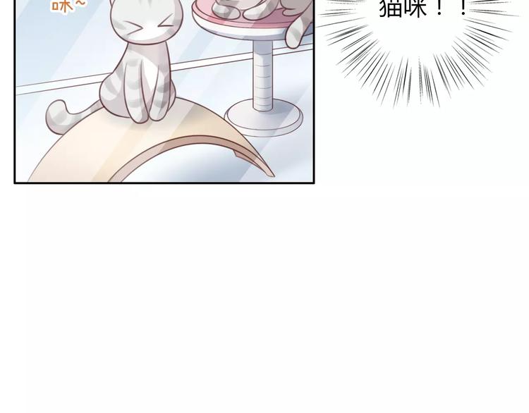 《猫爪之下》漫画最新章节第23话 人生赢家免费下拉式在线观看章节第【68】张图片