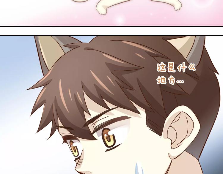 《猫爪之下》漫画最新章节第23话 人生赢家免费下拉式在线观看章节第【82】张图片