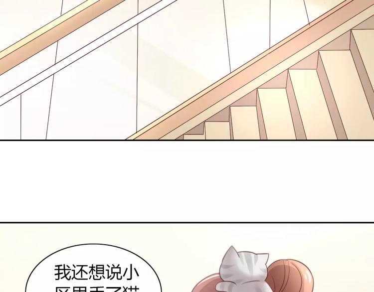 《猫爪之下》漫画最新章节第24话 猫咪专家免费下拉式在线观看章节第【14】张图片