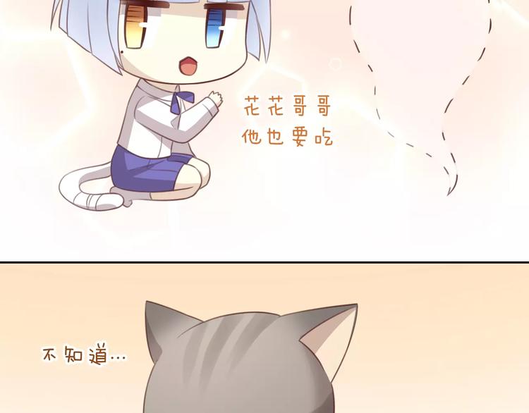 【猫爪之下】漫画-（第24话 猫咪专家）章节漫画下拉式图片-58.jpg