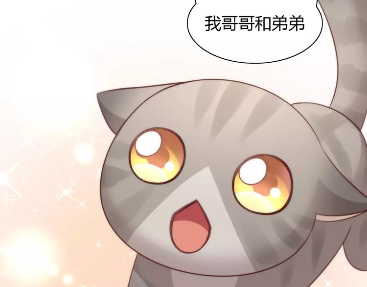 《猫爪之下》漫画最新章节第24话 猫咪专家免费下拉式在线观看章节第【63】张图片