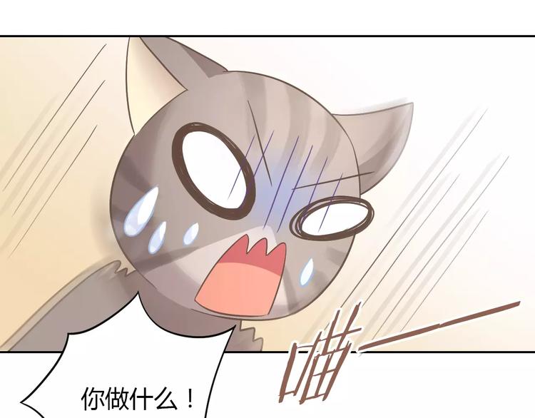 《猫爪之下》漫画最新章节第25话 反差萌免费下拉式在线观看章节第【49】张图片