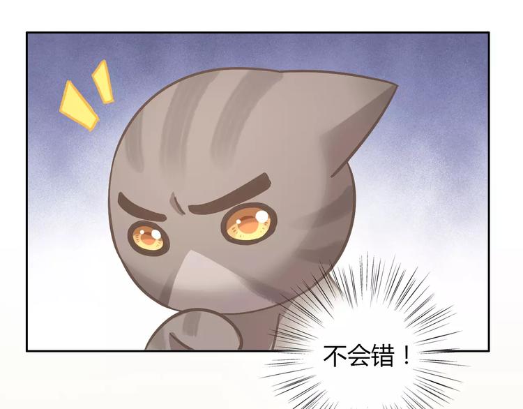 《猫爪之下》漫画最新章节第25话 反差萌免费下拉式在线观看章节第【62】张图片