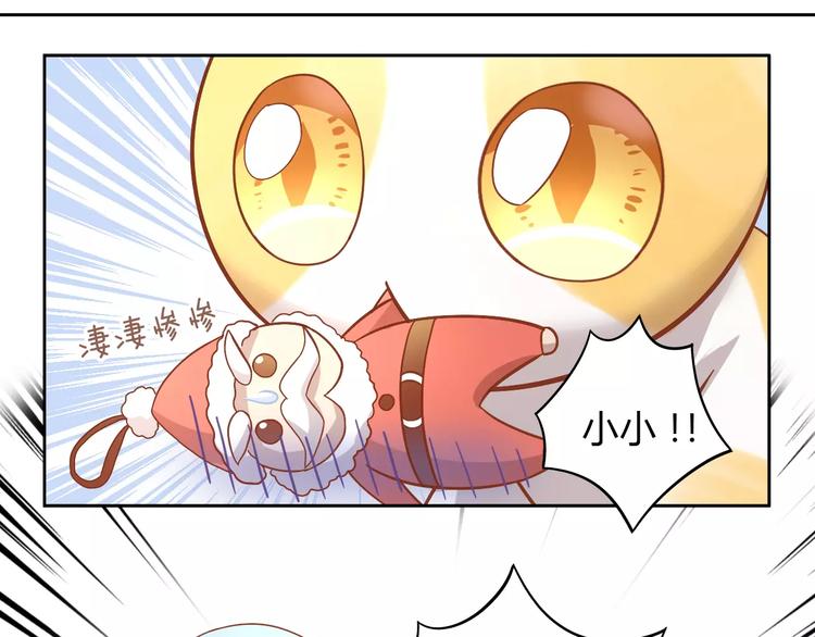 《猫爪之下》漫画最新章节第26话 圣诞快乐免费下拉式在线观看章节第【50】张图片