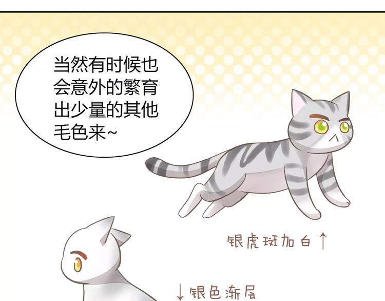 《猫爪之下》漫画最新章节第27话 总攻现身免费下拉式在线观看章节第【23】张图片