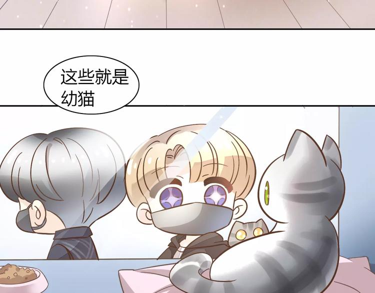 《猫爪之下》漫画最新章节第27话 总攻现身免费下拉式在线观看章节第【39】张图片