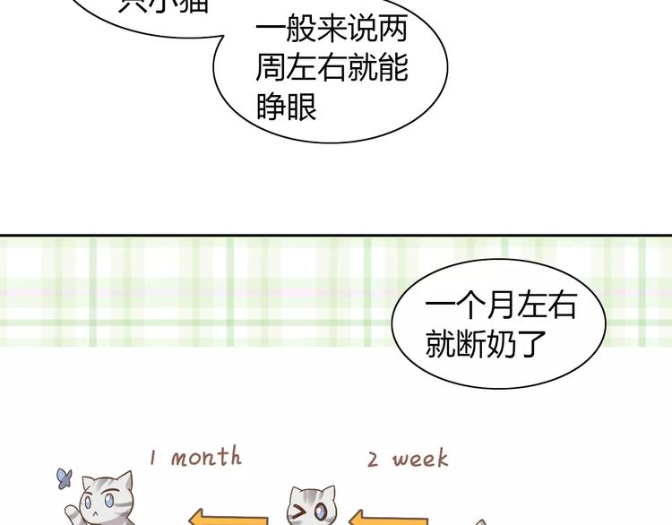 《猫爪之下》漫画最新章节第27话 总攻现身免费下拉式在线观看章节第【42】张图片