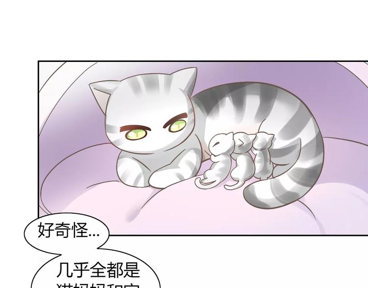 《猫爪之下》漫画最新章节第27话 总攻现身免费下拉式在线观看章节第【46】张图片