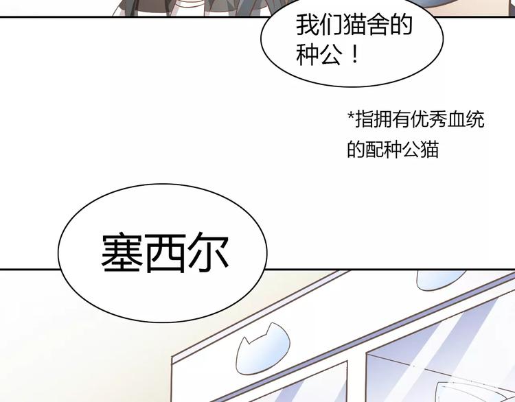 《猫爪之下》漫画最新章节第27话 总攻现身免费下拉式在线观看章节第【52】张图片