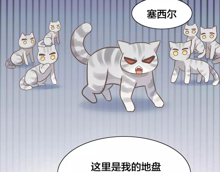 《猫爪之下》漫画最新章节第28话 迷之自信免费下拉式在线观看章节第【14】张图片