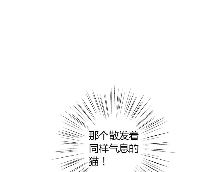 【猫爪之下】漫画-（第28话 迷之自信）章节漫画下拉式图片-28.jpg