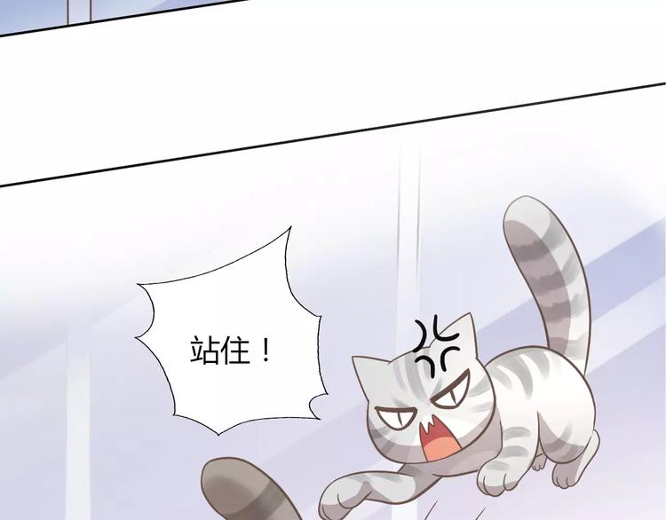 《猫爪之下》漫画最新章节第28话 迷之自信免费下拉式在线观看章节第【49】张图片