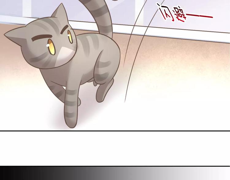 《猫爪之下》漫画最新章节第28话 迷之自信免费下拉式在线观看章节第【50】张图片