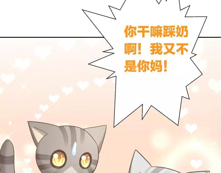 《猫爪之下》漫画最新章节第28话 迷之自信免费下拉式在线观看章节第【55】张图片